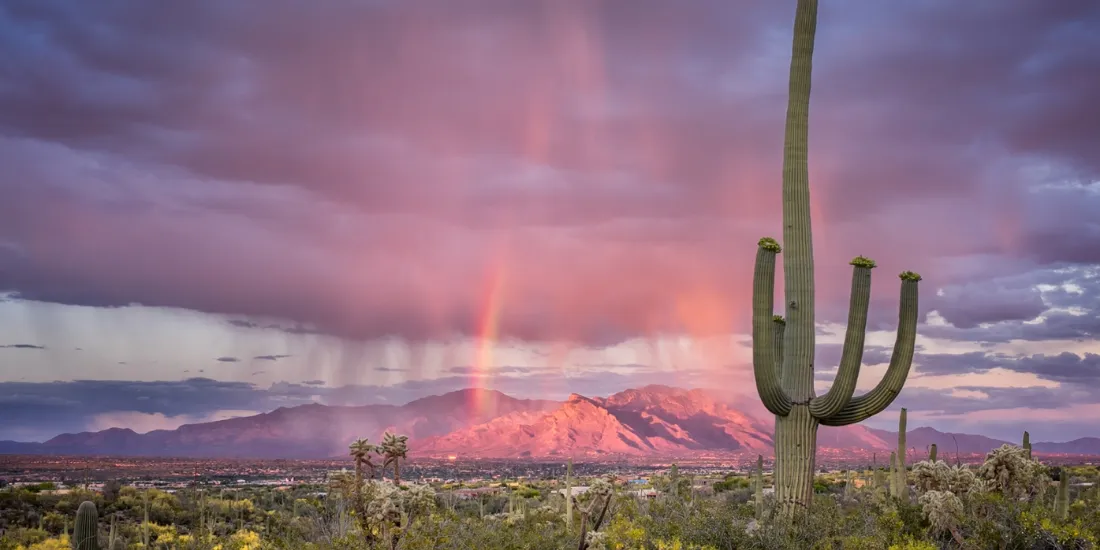 Study in Tucson, USA