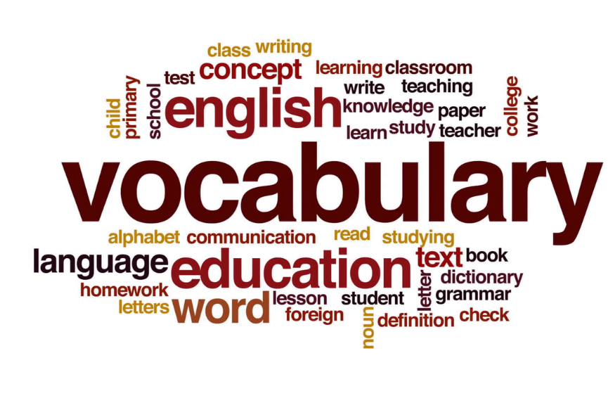 Essential Vocabulary Guide for International Students